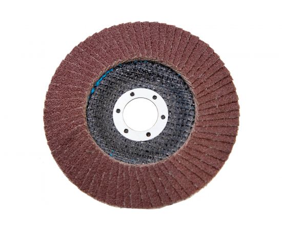 Круг лепестковый торцевой (125х22.23 мм; P80; корунд) CARBODISK Н0160442 – изображение 3