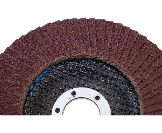 Круг лепестковый торцевой (125х22.23 мм; P80; корунд) CARBODISK Н0160442 – изображение 6