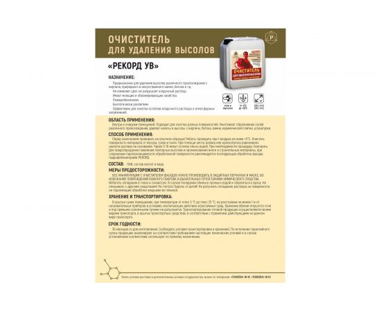 Очиститель для удаления высолов РЕКОРД 10 л УВ03 – изображение 2