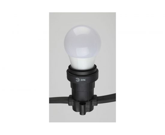 Светодиодная лампа ЭРА ERAW50E27 LED A503WE27, груша, 13SMD, 3W, E27, для белтлайт, 10/100/3600, белый Б0049582 – изображение 5