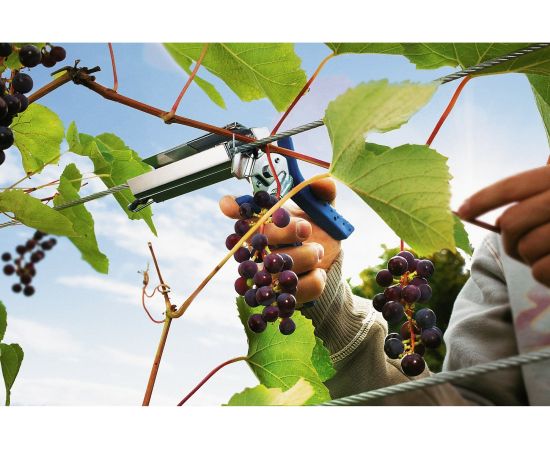 Кольцевой плайер для растений Rapid R:Plier LIG 150 Vine 40107753 – изображение 2