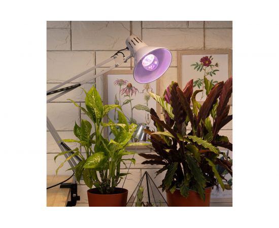 Лампа ЭРА FITO 11W Ra90 E27 Б0050603 – изображение 4