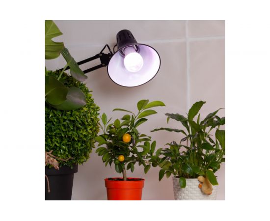 Лампа ЭРА FITO 11W Ra90 E27 Б0050603 – изображение 5