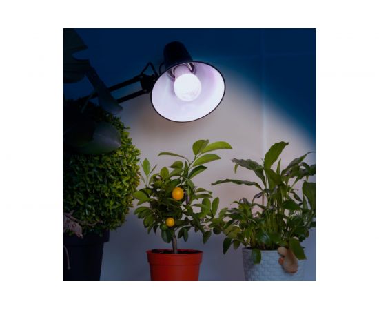 Лампа ЭРА FITO 11W Ra90 E27 Б0050603 – изображение 6