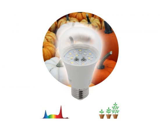 Лампа ЭРА FITO 11W Ra90 E27 Б0050603 – изображение 7