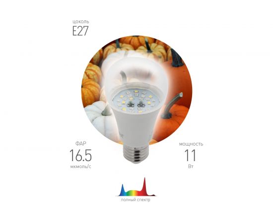 Лампа ЭРА FITO 11W Ra90 E27 Б0050603 – изображение 8