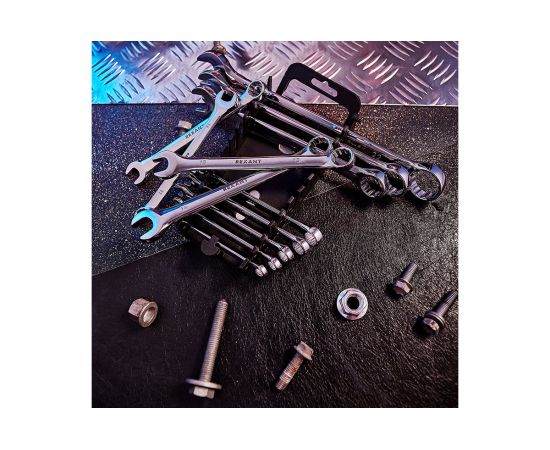 Набор комбинированных ключей REXANT 12-5842 – изображение 6