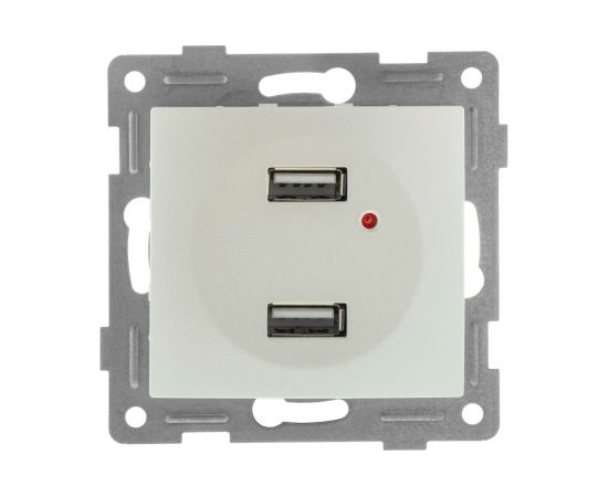 Механизм розетки GUSI ELECTRIC USB, двойной, СУ, жемчуг С11USB2-028 