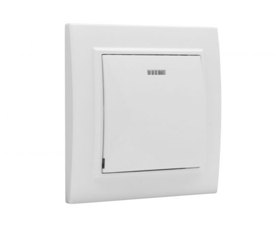 1-клавишный выключатель EKF Минск СП, с индикатором 10А, белый ERV10-121-10 – изображение 2