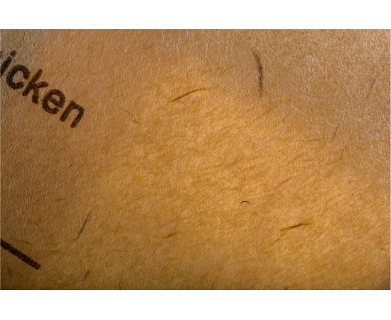 Мешки-пылесборники бумажные 12 шт + 2 микрофильтра для пылесоса Ozone XXL-P02 – изображение 4