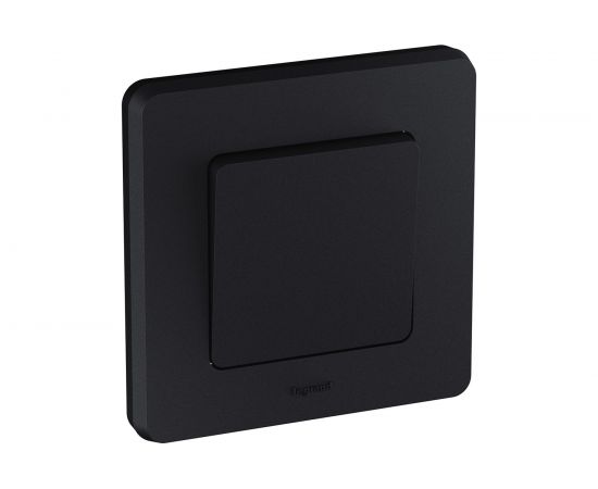 Одноклавишный выключатель Legrand - INSPIRIA - 10 AX - 250 В - антрацит 673603 – изображение 6