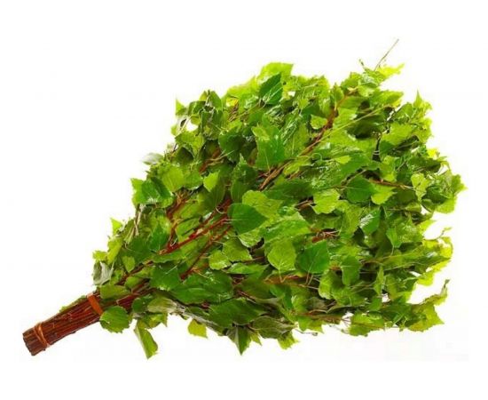 Веник Русский пар БЕРЕЗОВЫЙ в индивидуальной упаковке А-329931 