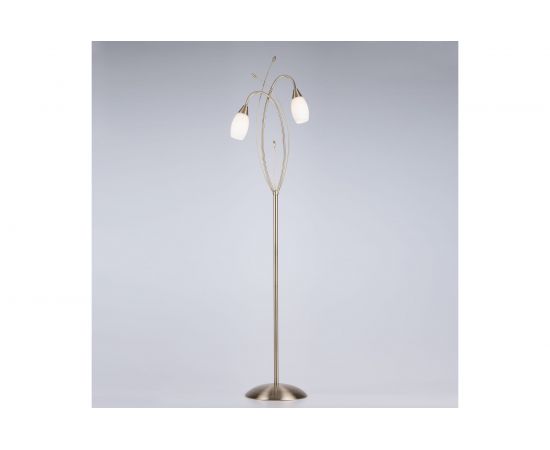 Напольный светильник Eurosvet 22080 2F античная бронза 00000058612 