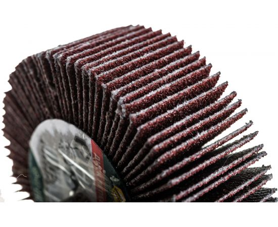 Диск лепестковый радиальный (60х20х6 мм; Р100) для дрели FIT 39565 – изображение 4