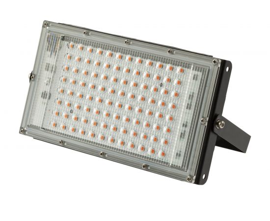 Светодиодный фитопрожектор для растений ЭРА FITO-80W-RB-LED-Y красно-синего спектра, Б0053082 