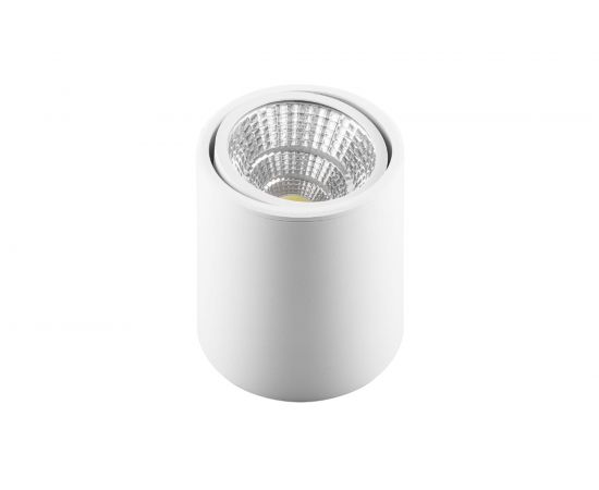 Поворотный светодиодный светильник FERON AL516, 10W, 800Lm, 4000K, белый 29575 