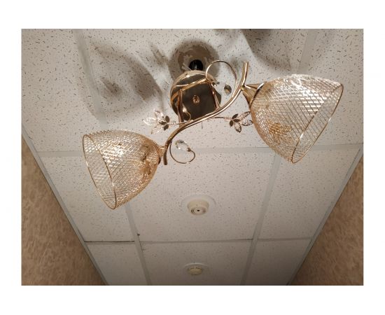 Люстра JUPITER LIGHTING золото-2х60W E27 230V, 26 см-48 см-18 см MО 85-5008/2 – изображение 11