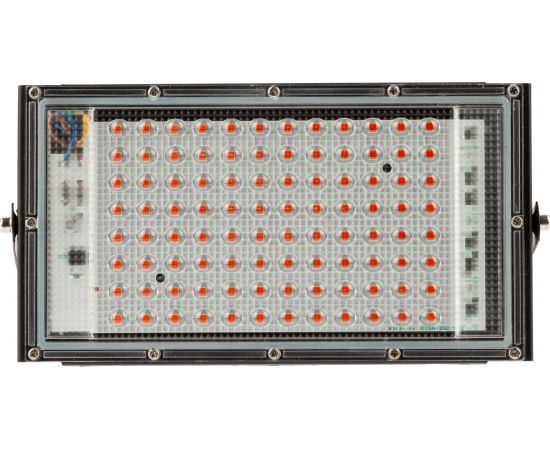 Светодиодный фитопрожектор для растений ЭРА FITO-80W-RB-LED-Y красно-синего спектра, Б0053082 – изображение 2