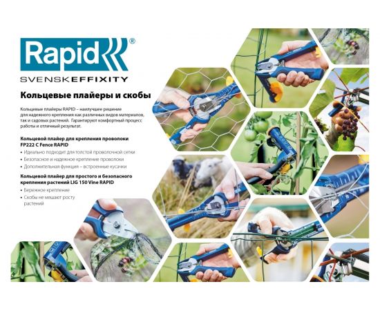 Кольцевые скобы для FP222 RAPID VR22 1600 шт. 40108810 – изображение 4