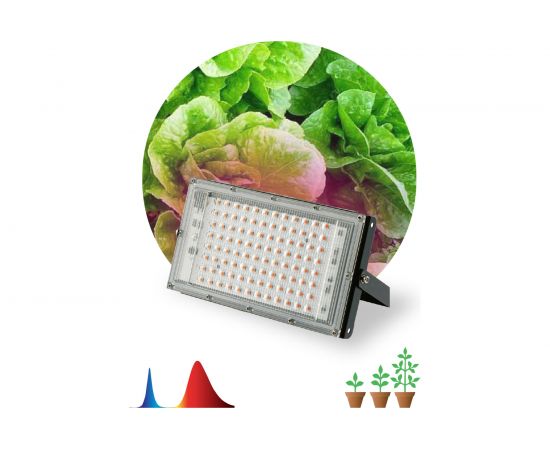 Светодиодный фитопрожектор для растений ЭРА FITO-80W-RB-LED-Y красно-синего спектра, Б0053082 – изображение 4