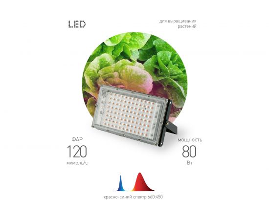Светодиодный фитопрожектор для растений ЭРА FITO-80W-RB-LED-Y красно-синего спектра, Б0053082 – изображение 5