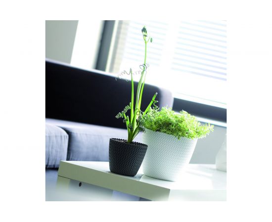 Кашпо Prosperplast SPLOFY 18.7 см, белое DSP190 449 – изображение 2