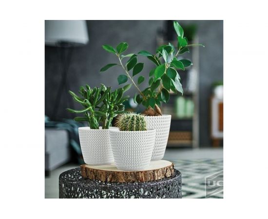 Кашпо Prosperplast SPLOFY 18.7 см, белое DSP190 449 – изображение 3