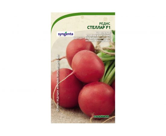 Семена САДОВИТА Редис Стеллар F1 60 семечек 00140121 – изображение 2