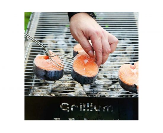 Мангал GRILLIUM 000000123 – изображение 10