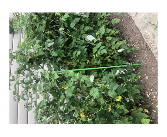 Промежуточная опора для малины НАЙДИ зеленая GM6018 – изображение 2