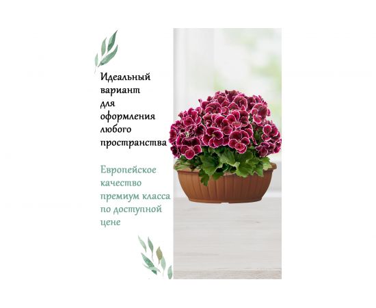 Чаша Teraplast CIOTOLA COSTE диам. 30 см, высота 11 см, коричневая 01010030001 – изображение 4