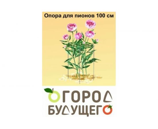 Опора для пионов Удачный сезон d=45 см, h=85 см 5006 – изображение 9