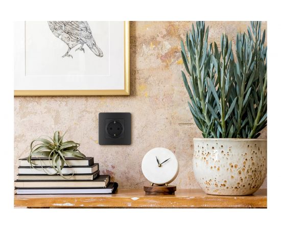 Розетка Legrand 2К+З - немецкий стандарт - 16 А - 250 В - INSPIRIA - антрацит 673723 – изображение 7