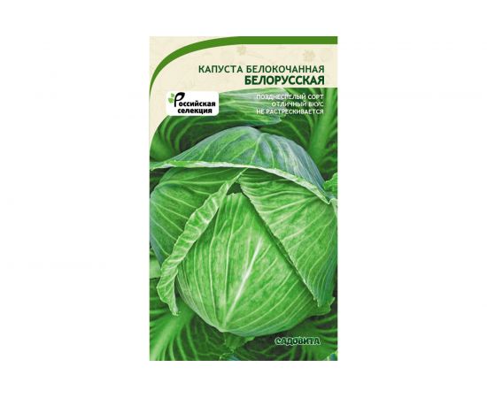 Семена САДОВИТА Капуста Белорусская белокочанная 0.5 г 00160642 – изображение 2