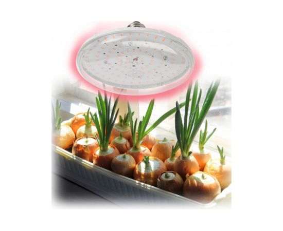 Лампа ЭРА FITO 18W RB E27 Б0049533 – изображение 5