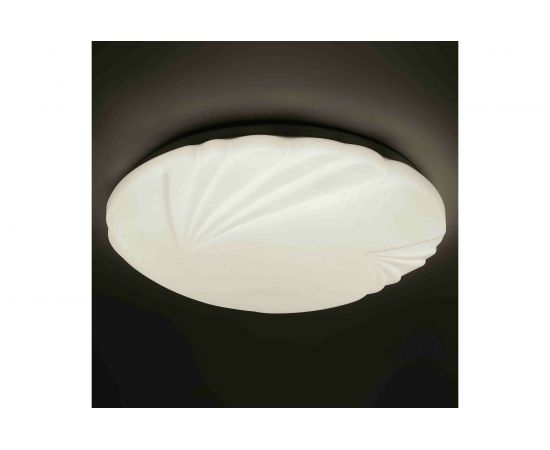 Настенно-потолочный декоративный светильник Apeyron, светодиодный, 22Вт, 1540Лм, 220В, д/б 18-026 