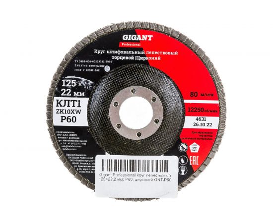 Круг лепестковый Professional 125х22.2 мм, P60, цирконий Gigant GNT-P60 