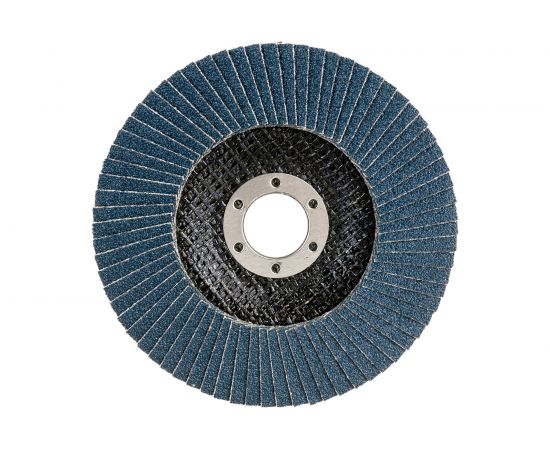 Круг лепестковый Professional 125х22.2 мм, P60, цирконий Gigant GNT-P60 – изображение 2