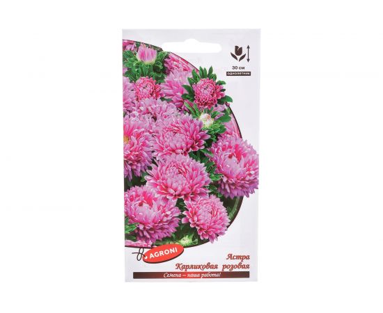 Семена Агрони Астра карликовая РОЗОВАЯ 2885 