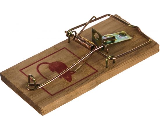 Набор малых мышеловок 100х45 мм FIT 67800 – изображение 2