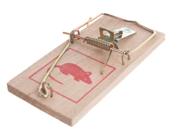 Набор малых мышеловок 100х45 мм FIT 67800 – изображение 3