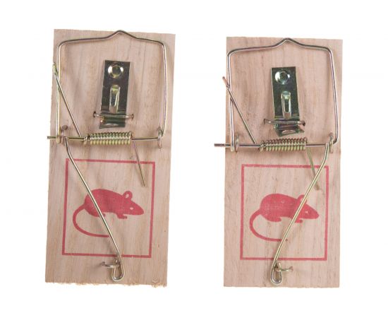 Набор малых мышеловок 100х45 мм FIT 67800 – изображение 5