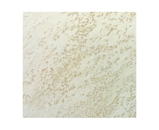 Штукатурка декоративная для имитации бетона и камня Травертино 15 кг DESSA DECOR 70129 – изображение 6
