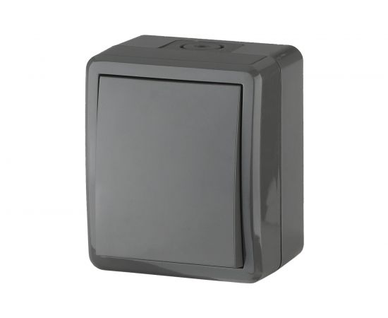 Переключатель ЭРА 11-1403-03 IP54, 10АХ-250В, ОУ, Эксперт, серый Б0020674 