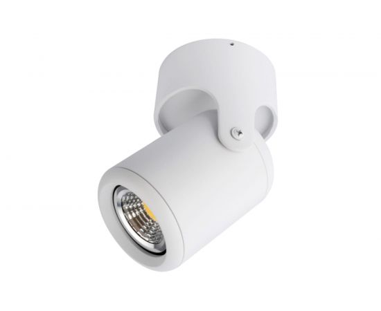 Потолочный светильник Arte Lamp A3316PL-1WH 