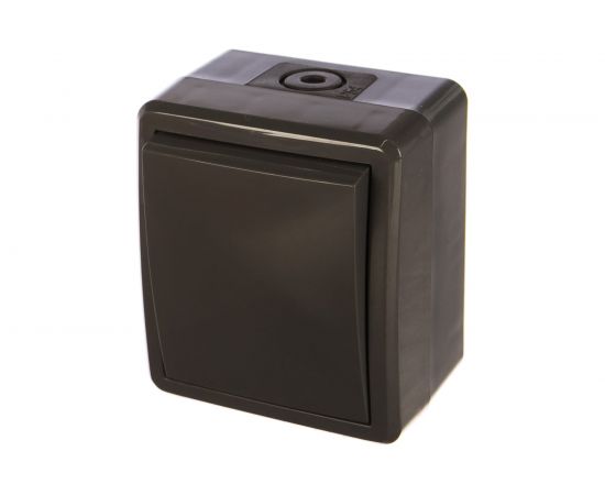 Переключатель ЭРА 11-1403-03 IP54, 10АХ-250В, ОУ, Эксперт, серый Б0020674 – изображение 2