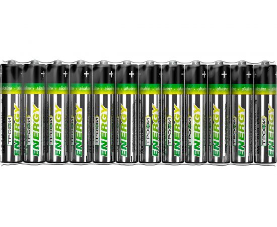 Элемент питания Трофи LR03-12S ECO Б0027813 – изображение 3