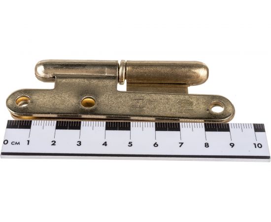 Петля Amig IZ-П покрытие латунь 405 R-9,5 (IZ) – изображение 5