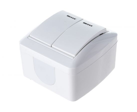 2-клавишный выключатель TDM открытой установки с подсветкой IP44 10А белый "Селигер" SQ1818-0004 – изображение 6