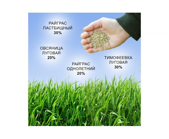 Семена газона Зри в корень Универсальный 0.8 кг 1010026125 – изображение 4